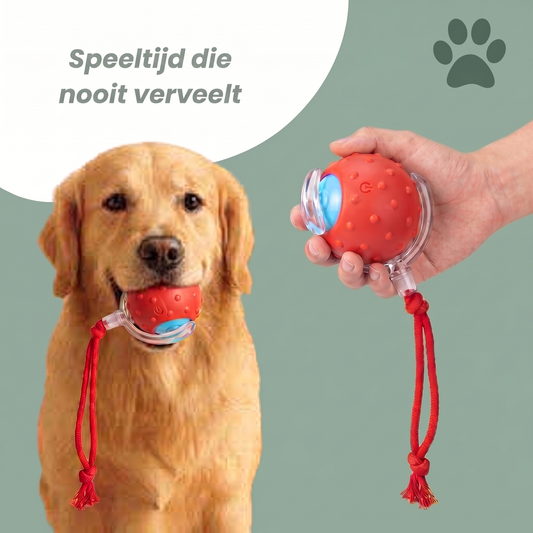 Pawdal™ GlowBall